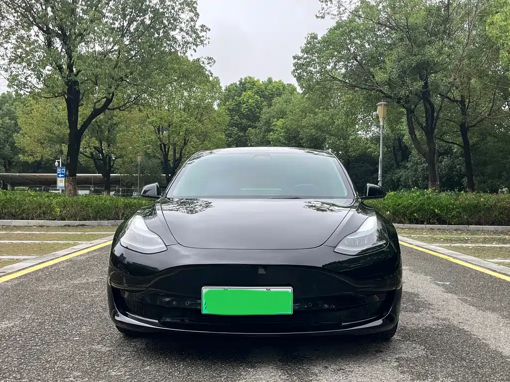 Tesla Model 3 — фото 2