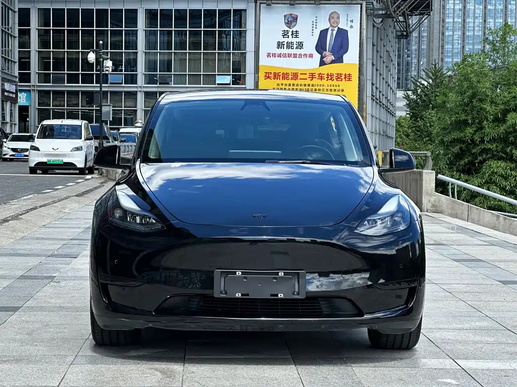 Tesla Model Y — фото 2