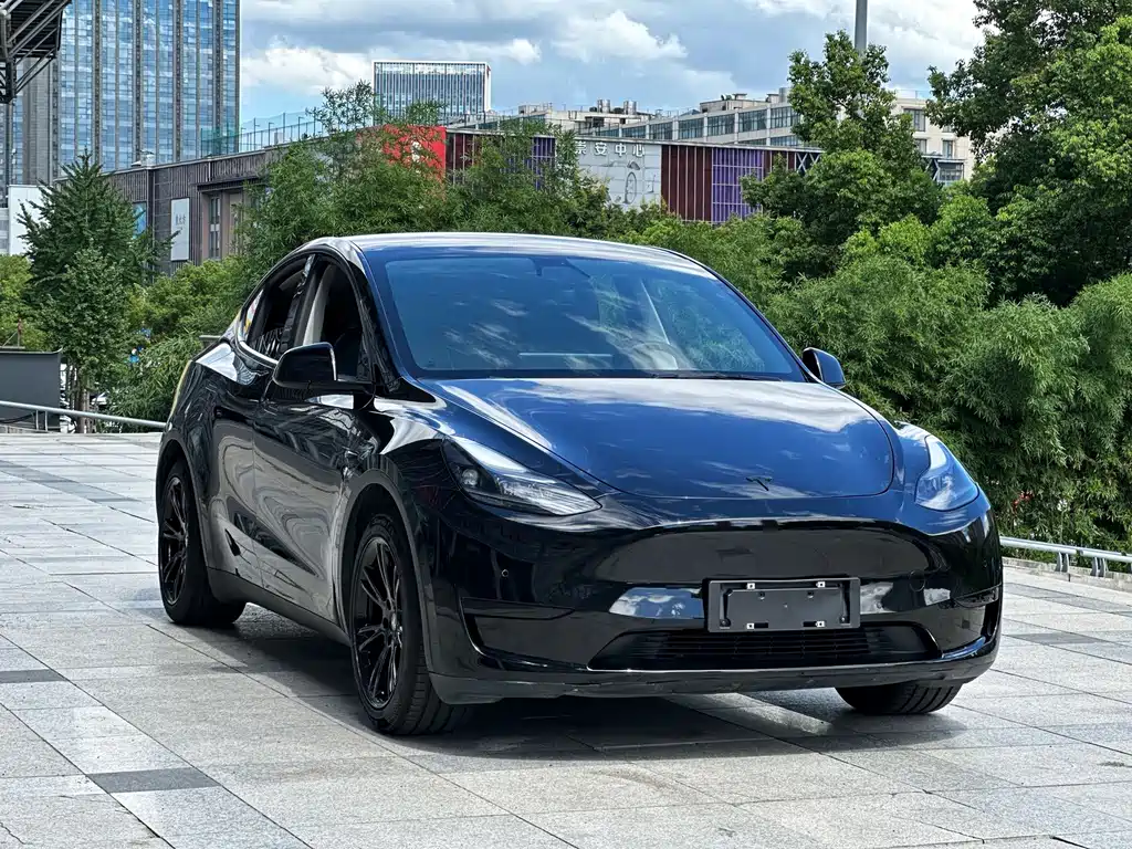 Tesla Model Y — фото 3