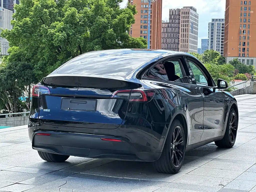 Tesla Model Y — фото 6