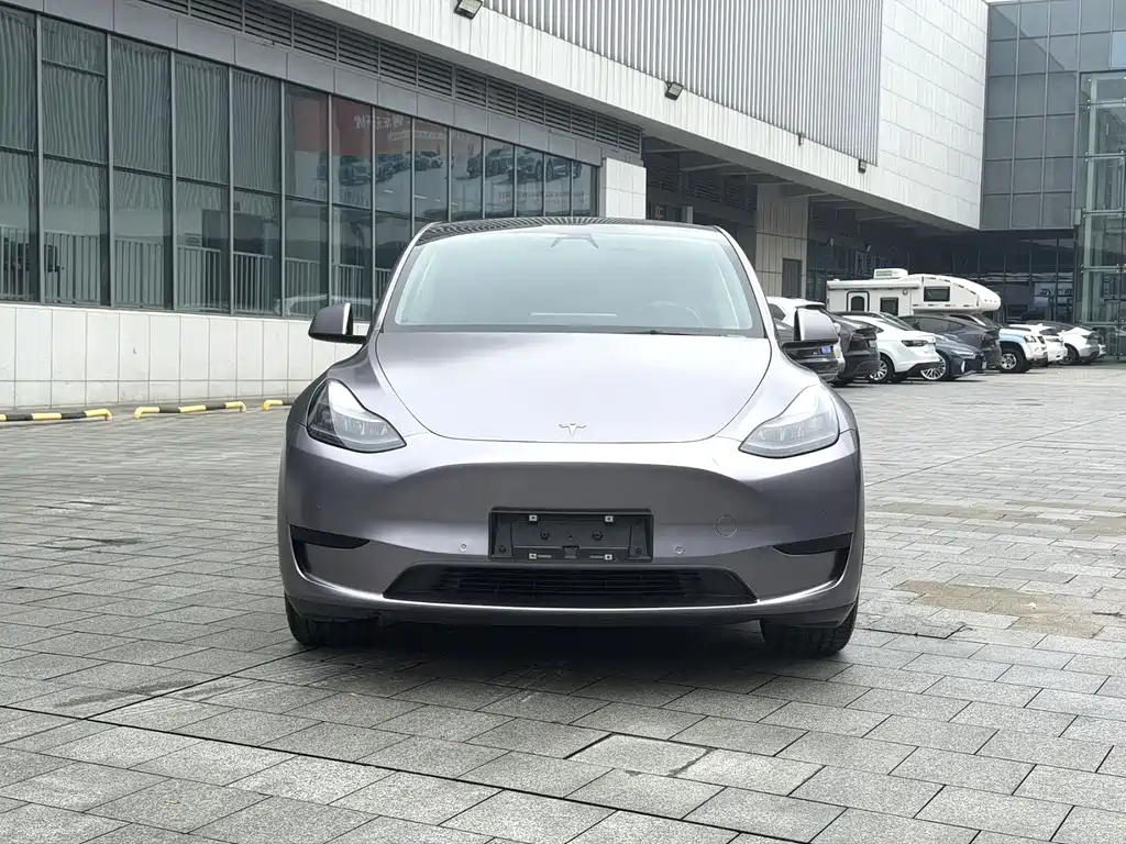 Tesla Model Y — фото 2