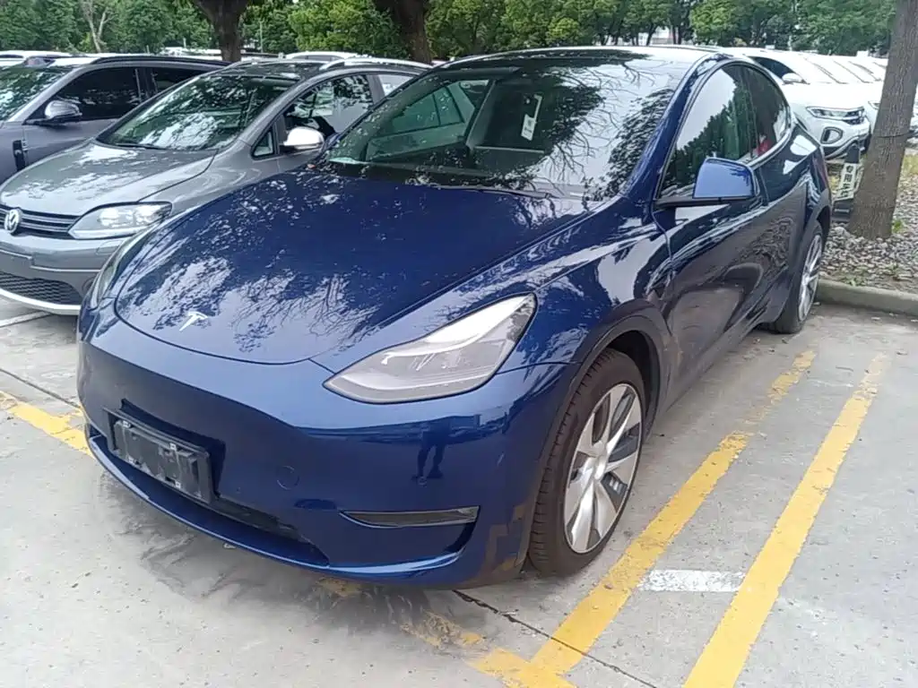 Tesla Model Y — фото 2