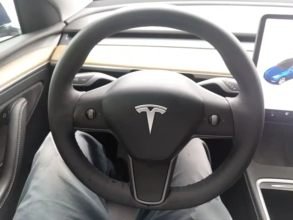Tesla Model Y — фото 11