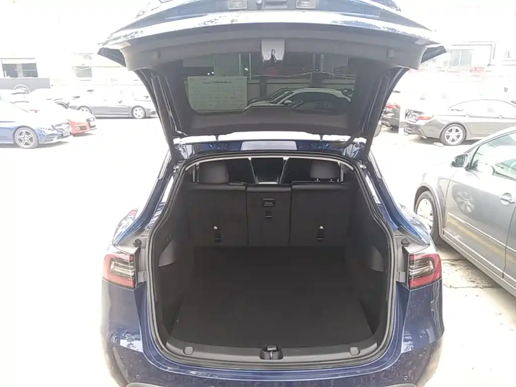 Tesla Model Y — фото 19