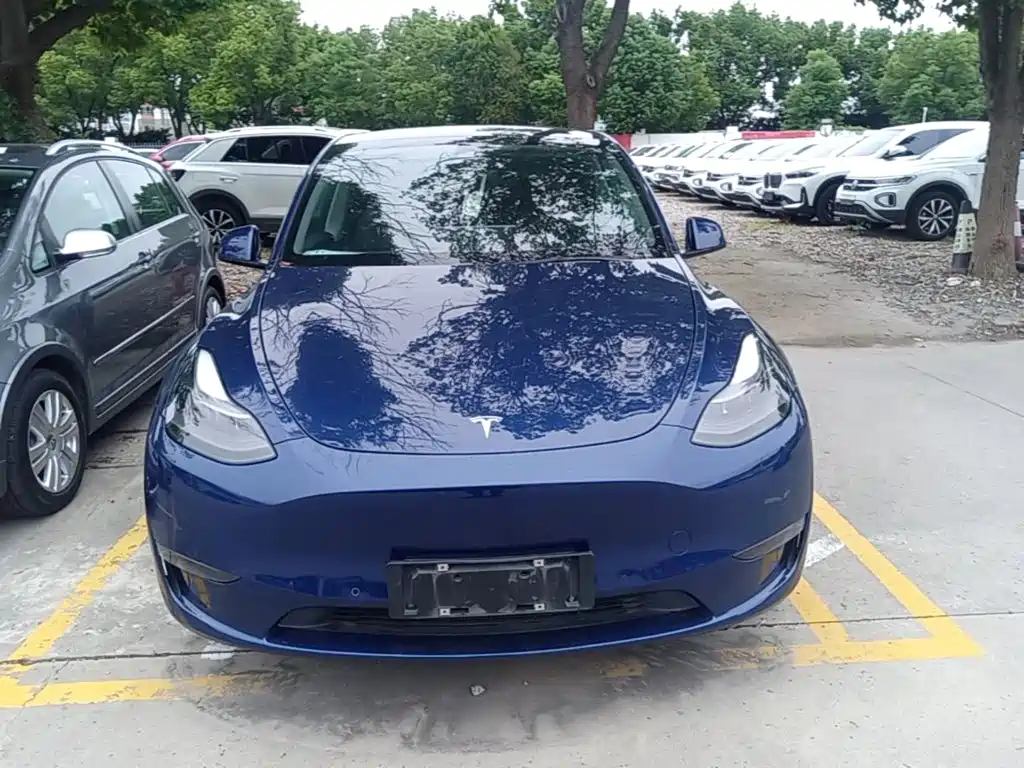 Tesla Model Y — фото 3