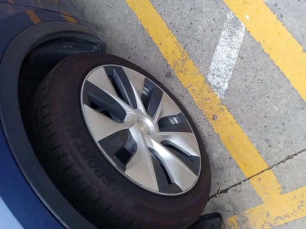 Tesla Model Y — фото 23