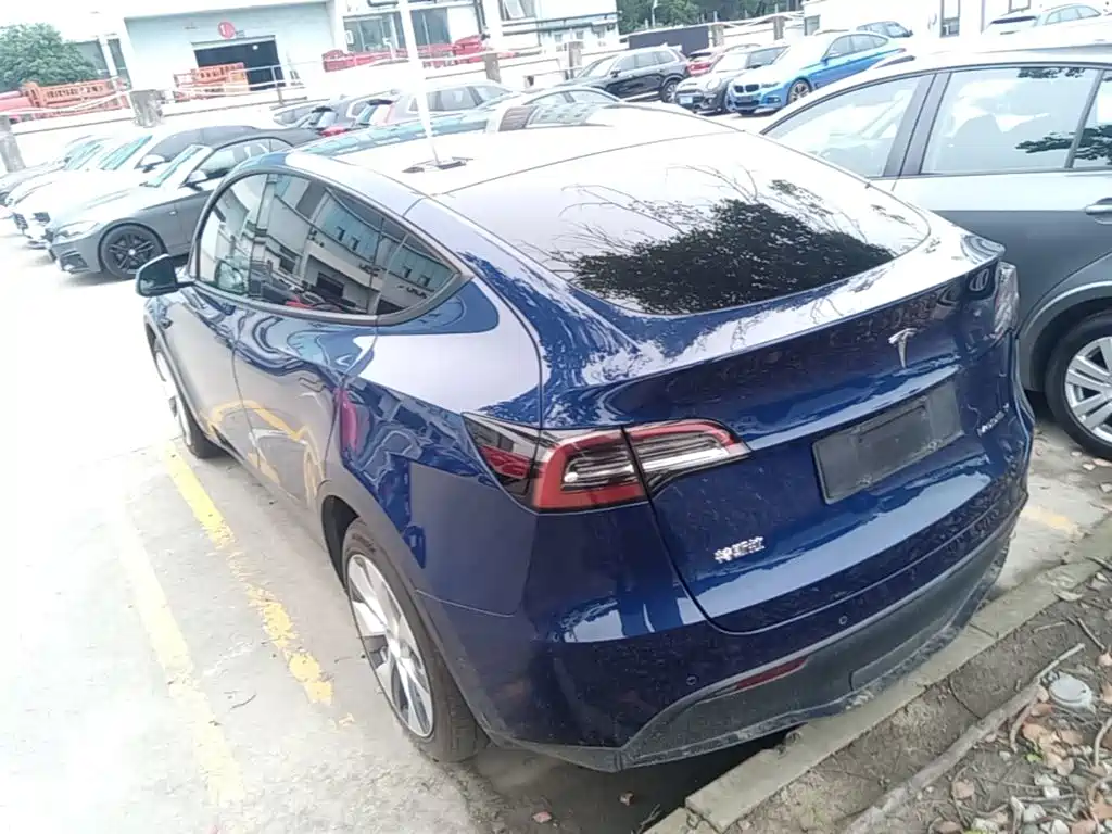 Tesla Model Y — фото 5