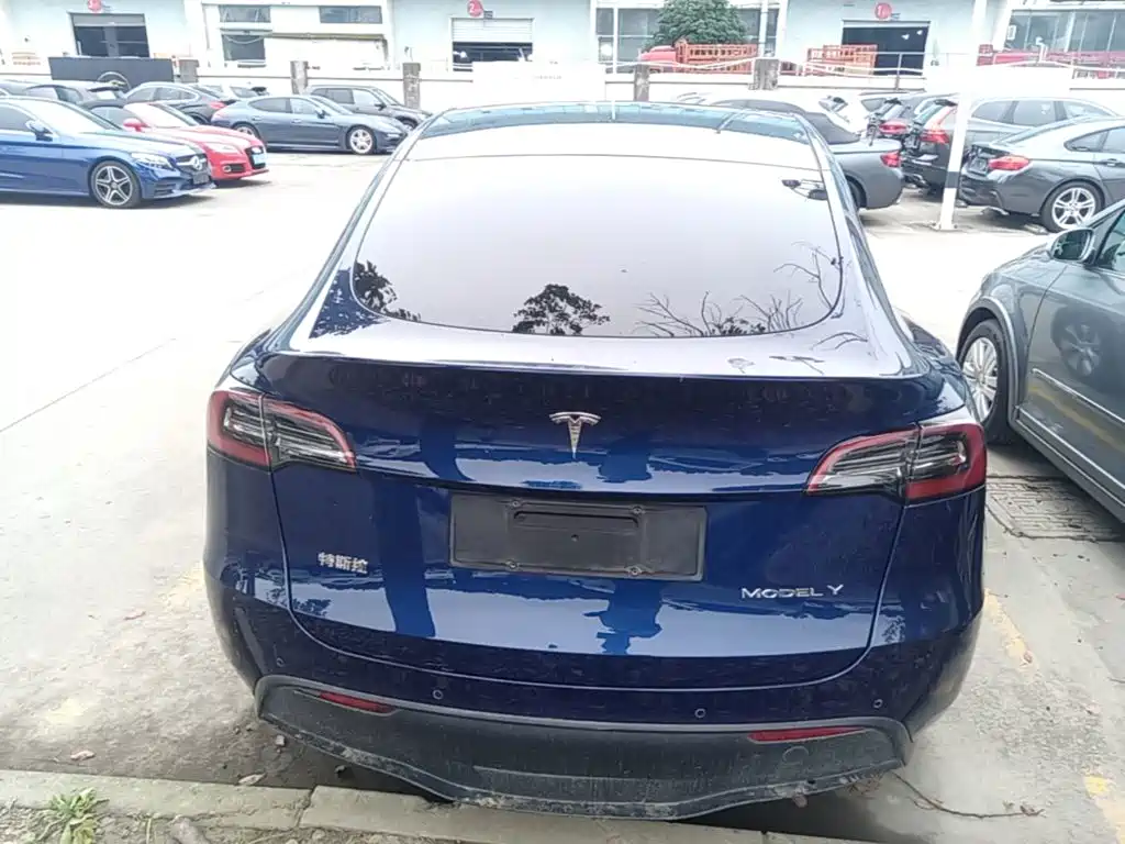Tesla Model Y — фото 6