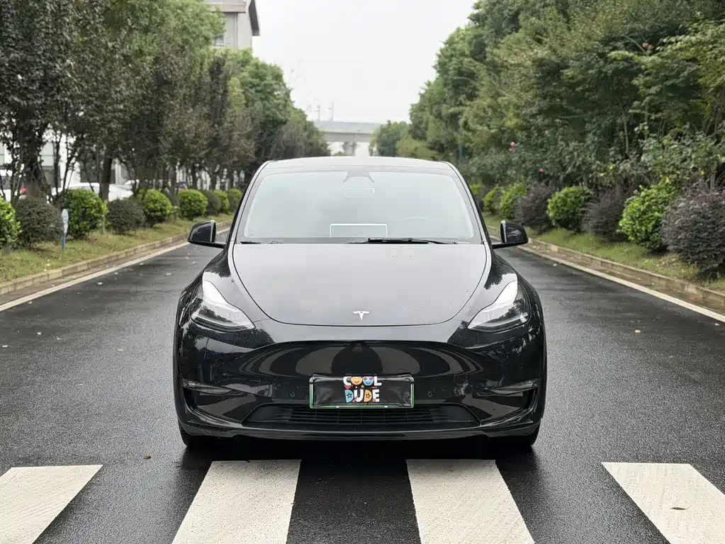 Tesla Model Y — фото 2