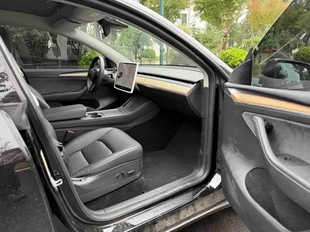 Tesla Model Y — фото 11