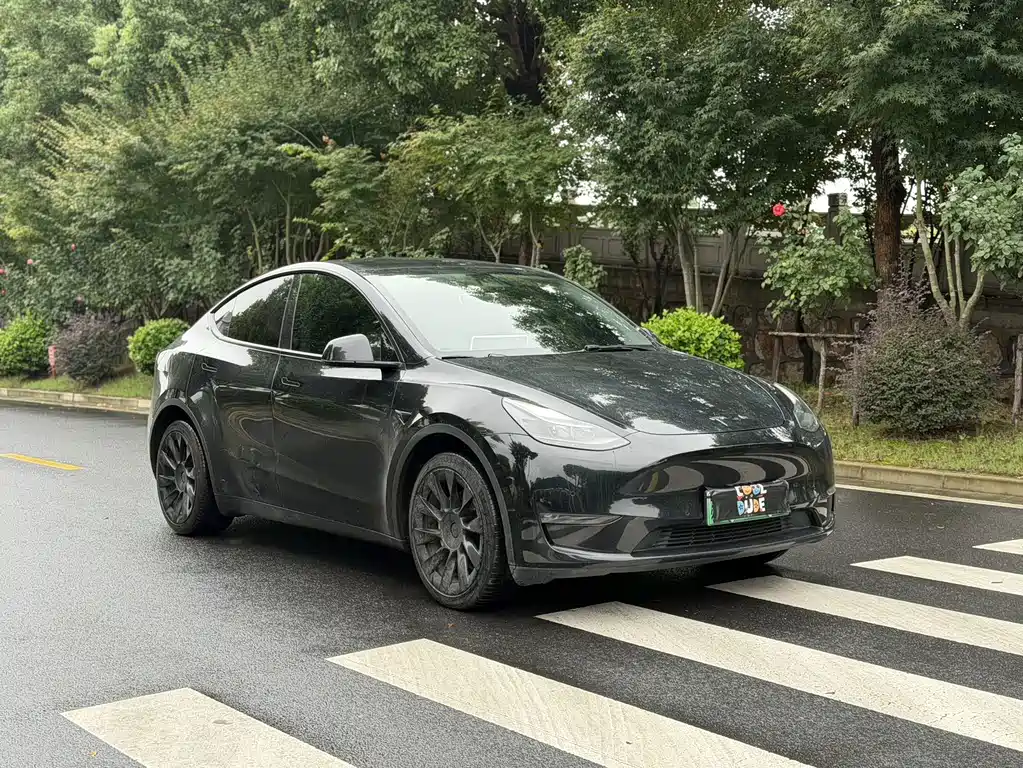 Tesla Model Y — фото 3