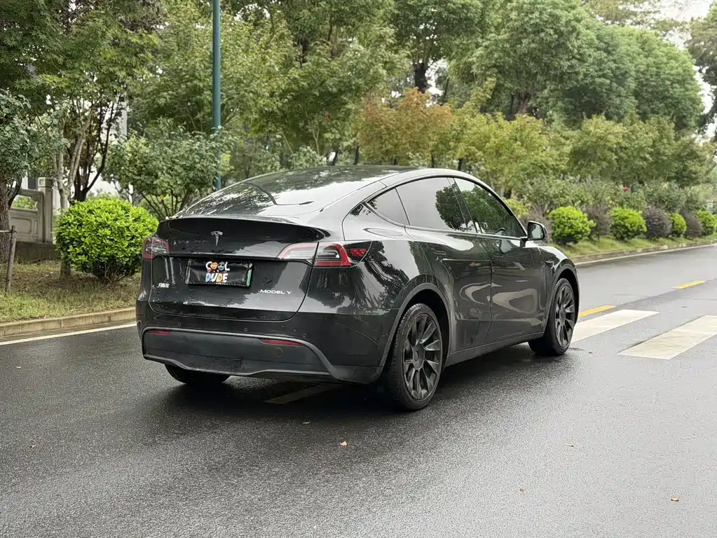 Tesla Model Y — фото 4