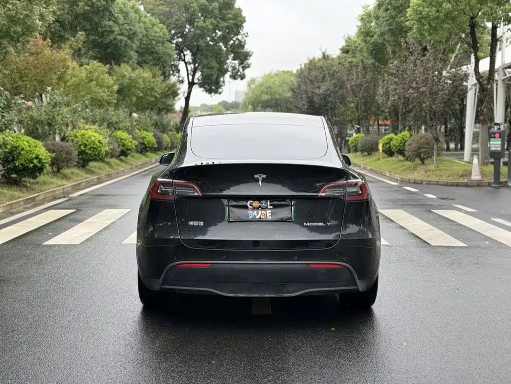 Tesla Model Y — фото 5