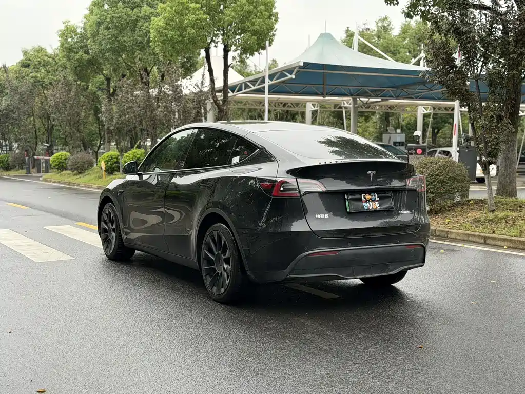 Tesla Model Y — фото 6