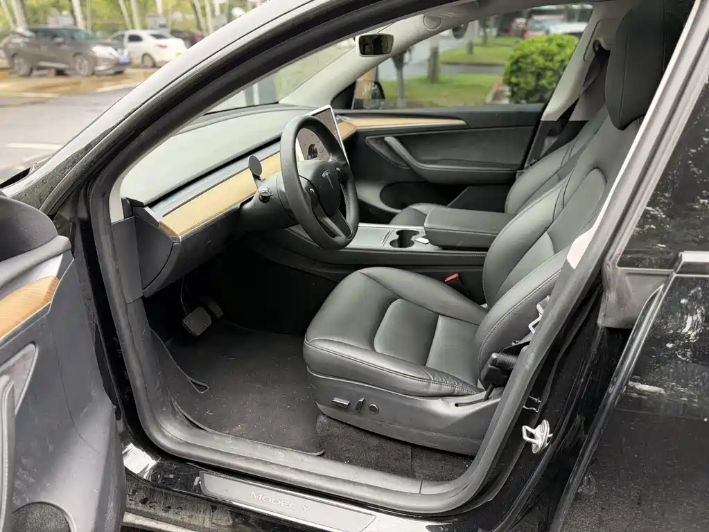 Tesla Model Y — фото 9
