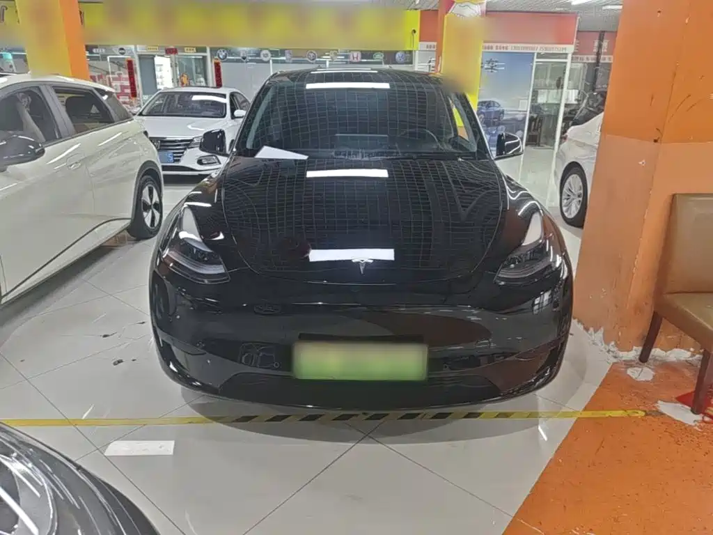 Tesla Model Y — фото 3