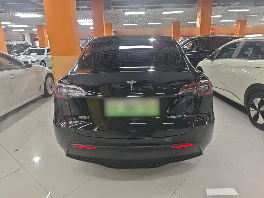 Tesla Model Y — фото 6