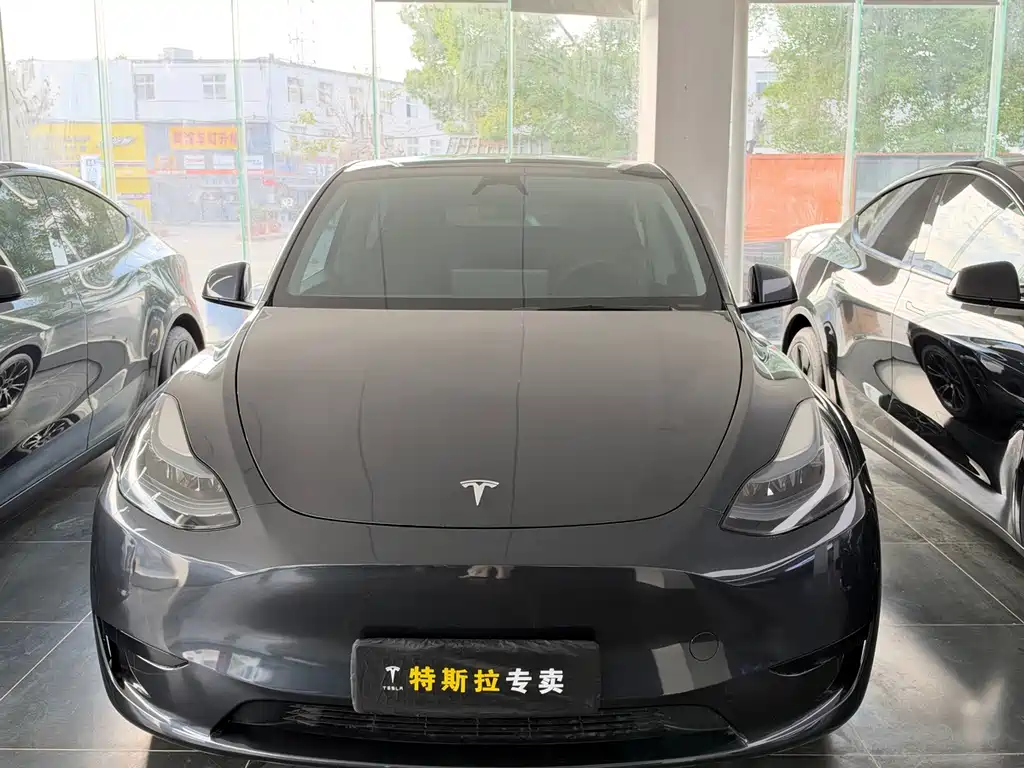 Tesla Model Y — фото 2