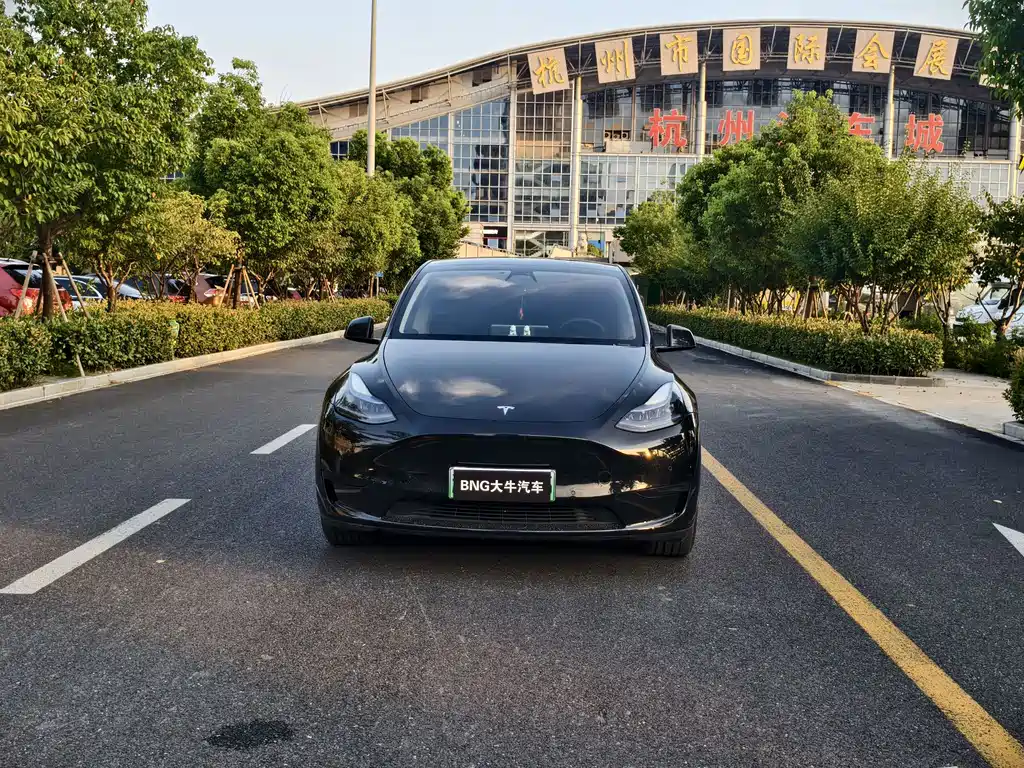 Tesla Model Y — фото 2