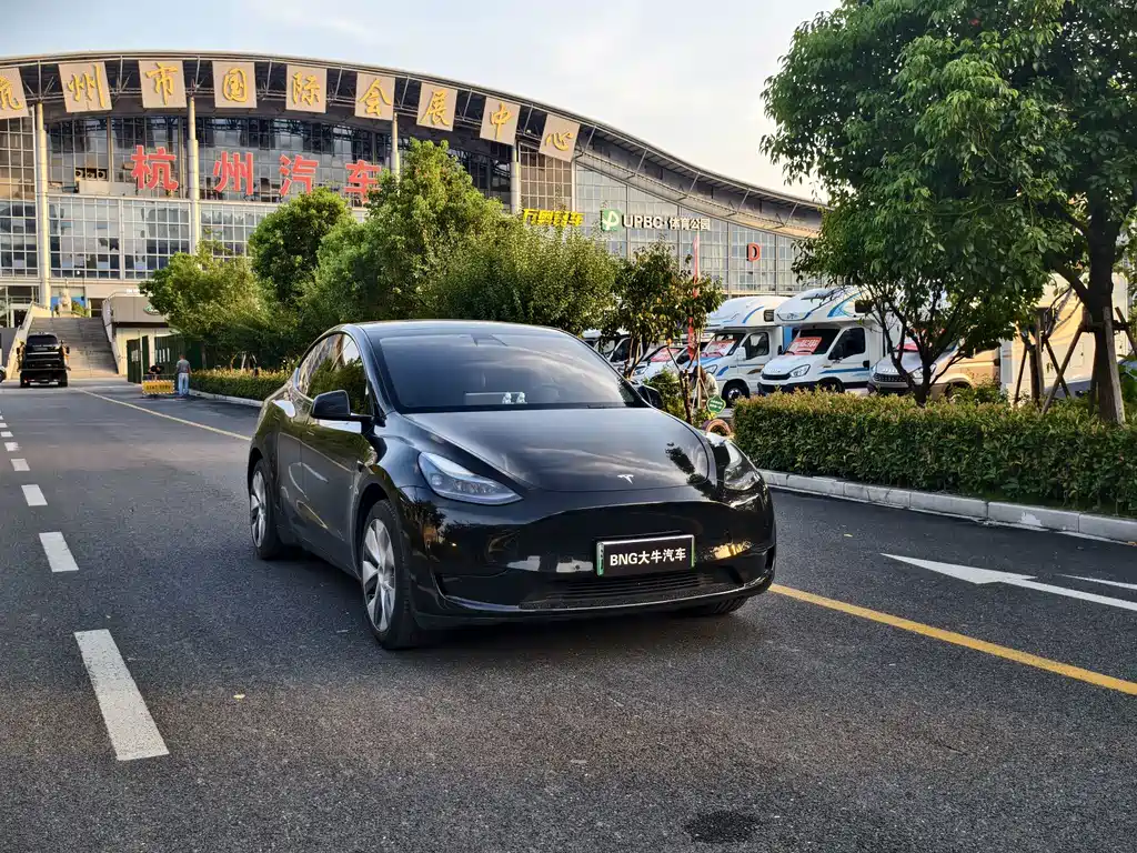 Tesla Model Y — фото 3