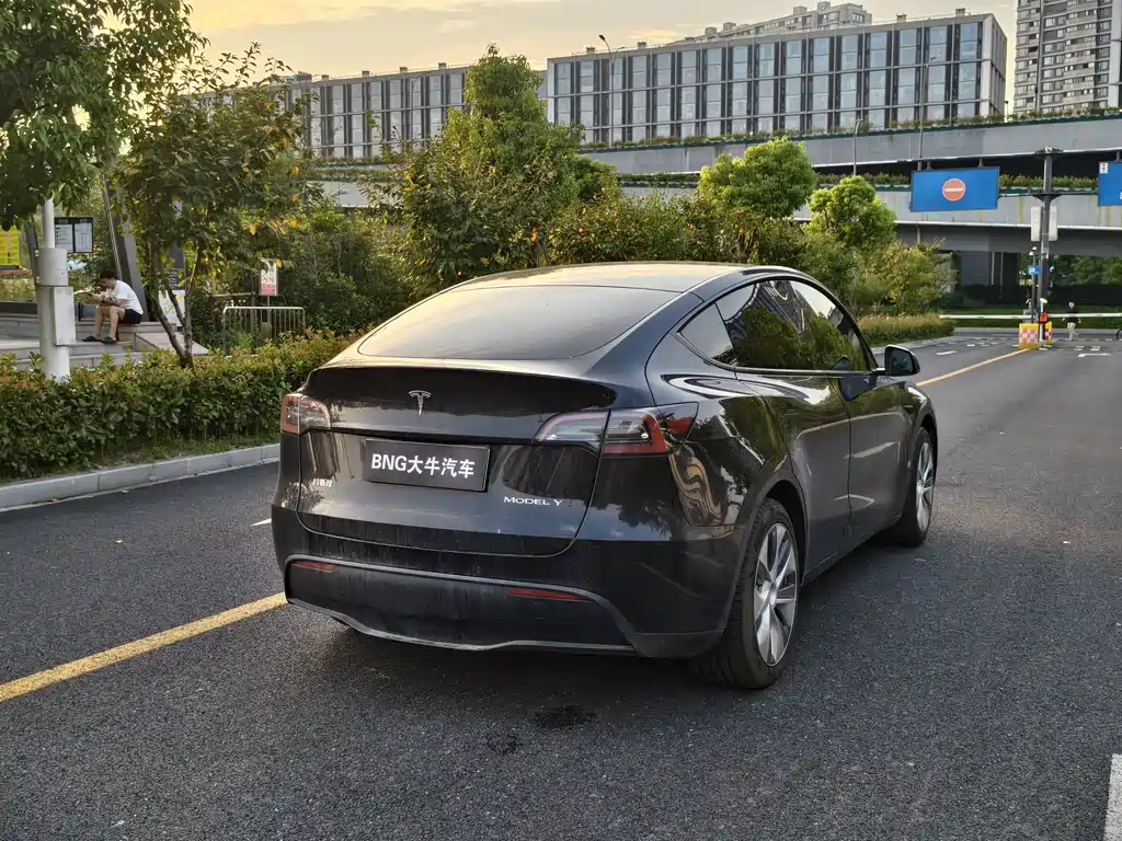 Tesla Model Y — фото 4