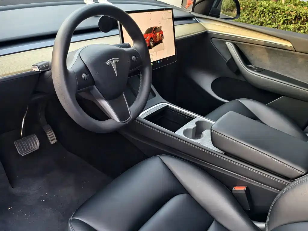 Tesla Model Y — фото 8