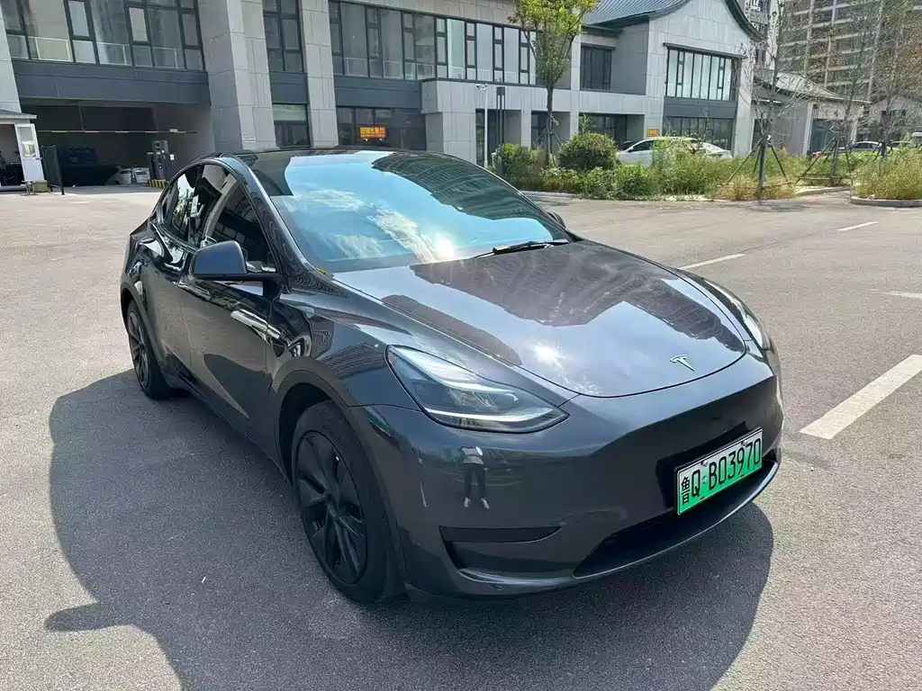 Tesla Model Y — фото 2