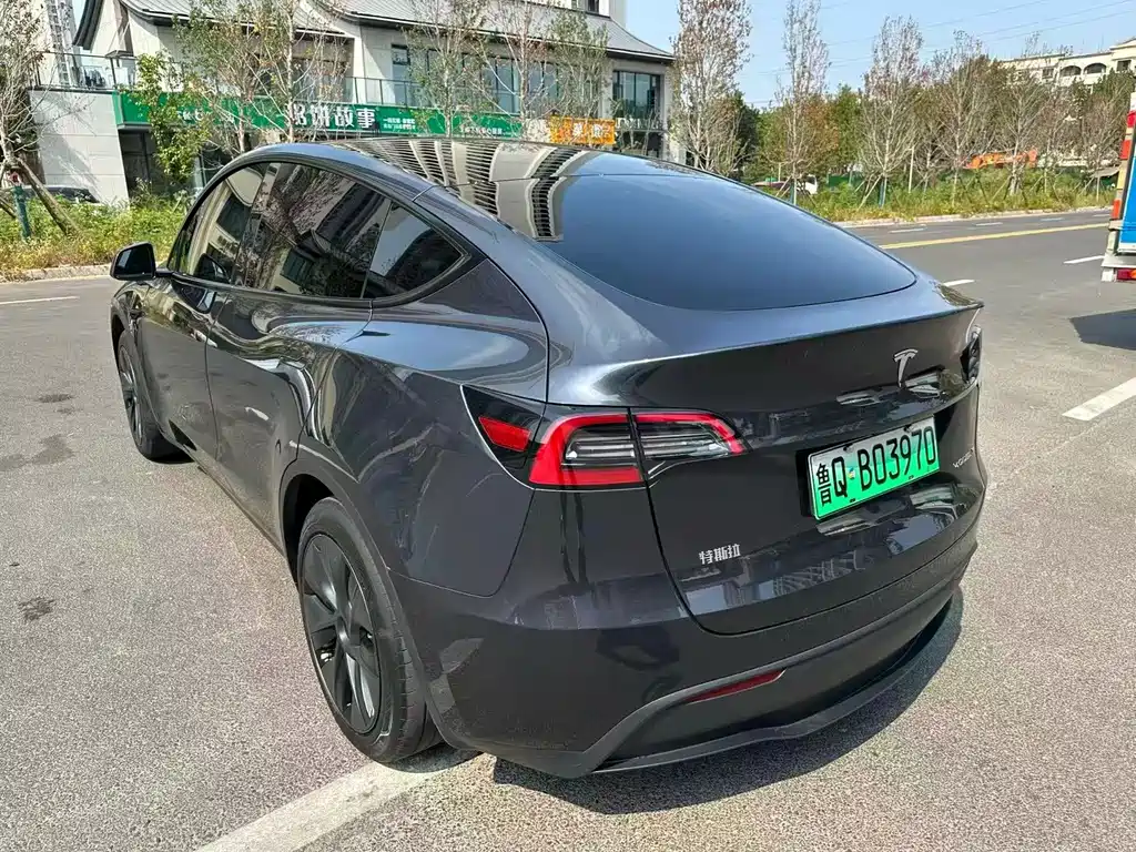 Tesla Model Y — фото 8