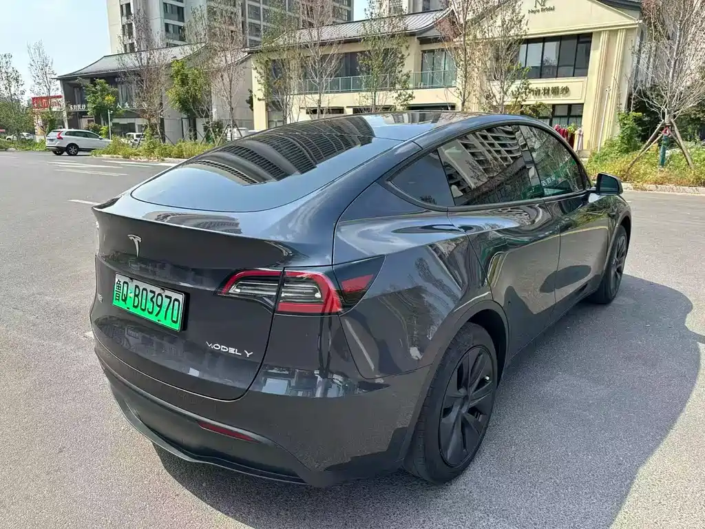 Tesla Model Y — фото 9