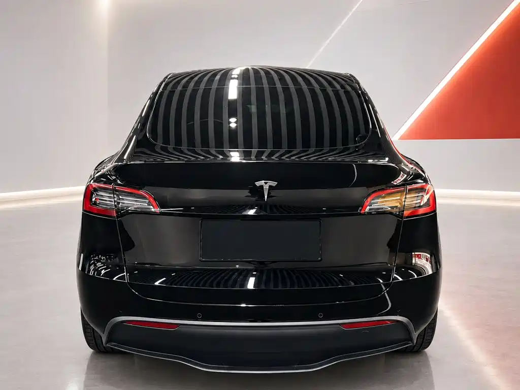Tesla Model Y — фото 5