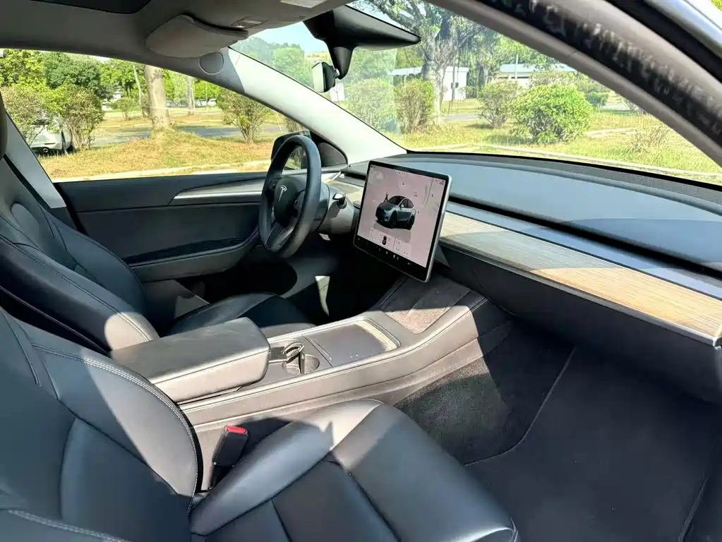 Tesla Model Y — фото 2