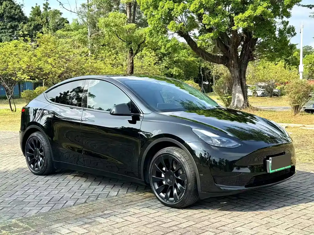 Tesla Model Y — фото 11