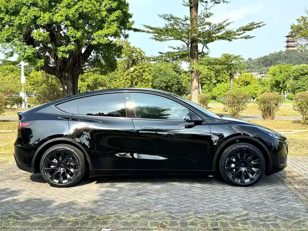 Tesla Model Y — фото 12