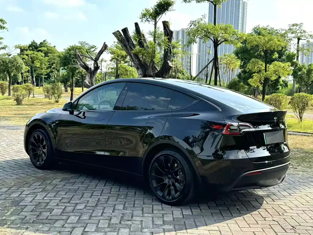 Tesla Model Y — фото 6