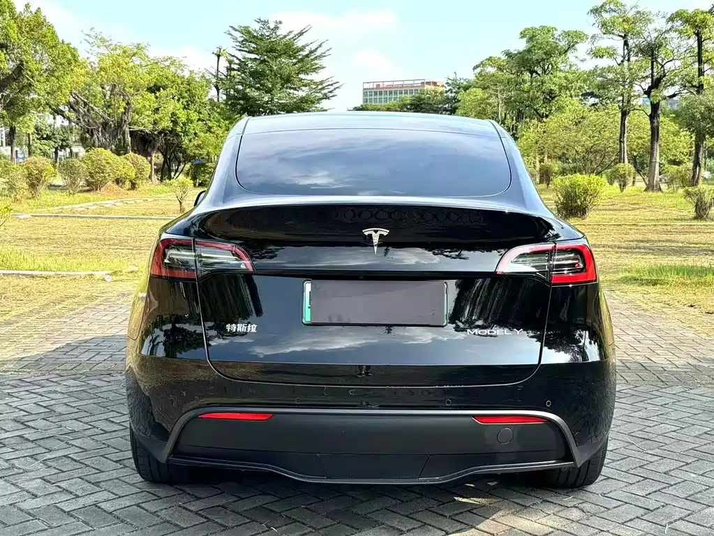 Tesla Model Y — фото 9