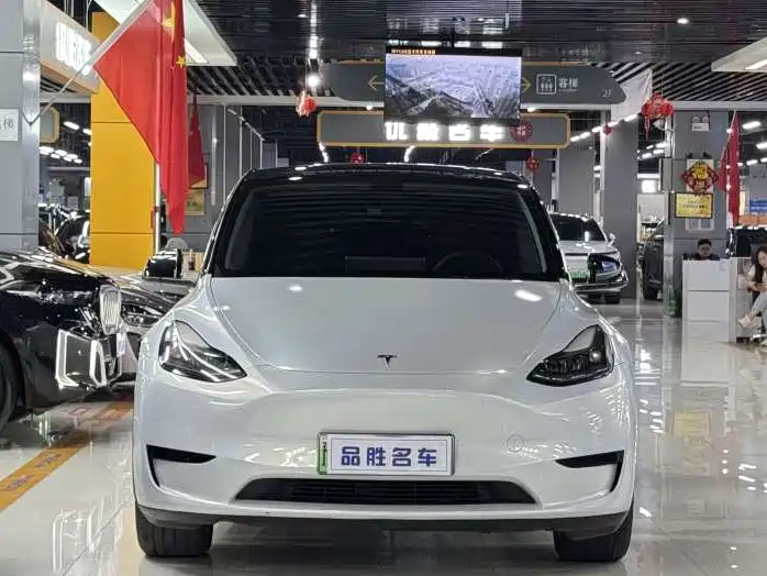 Tesla Model Y — фото 2