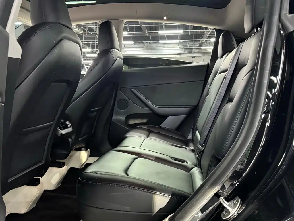 Tesla Model Y — фото 14