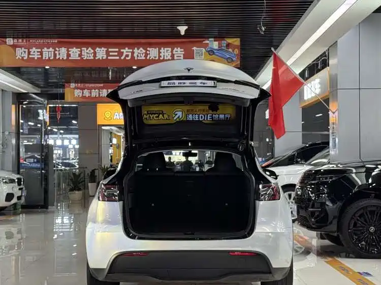 Tesla Model Y — фото 6