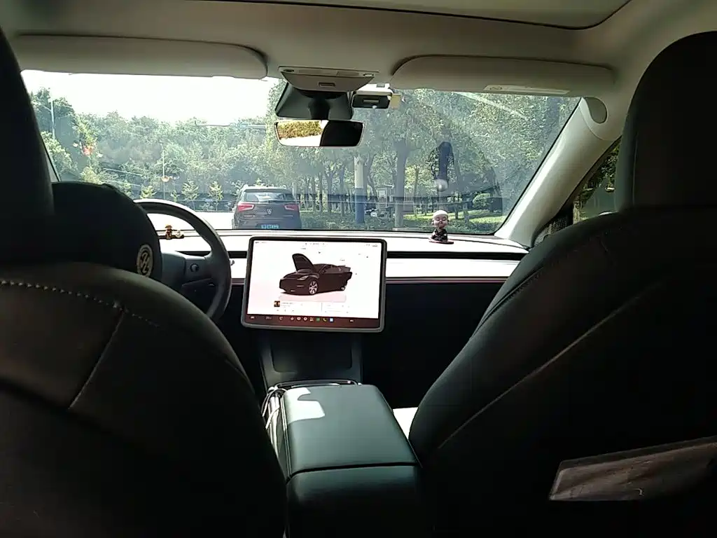 Tesla Model Y — фото 19