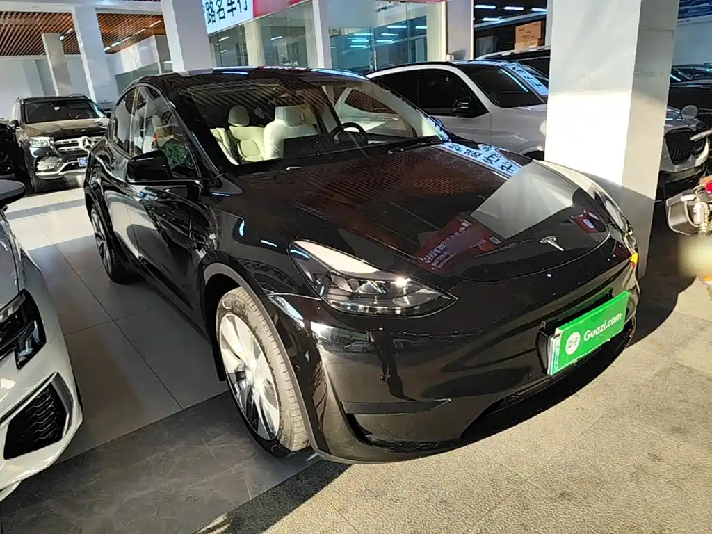 Tesla Model Y — фото 4