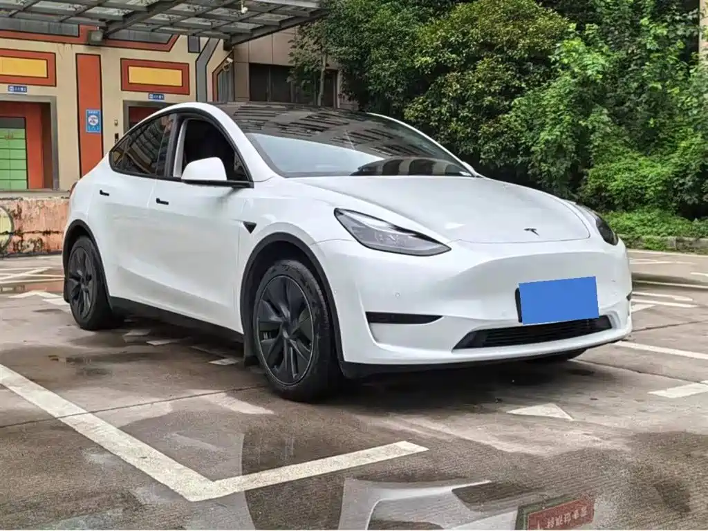 Tesla Model Y — фото 3
