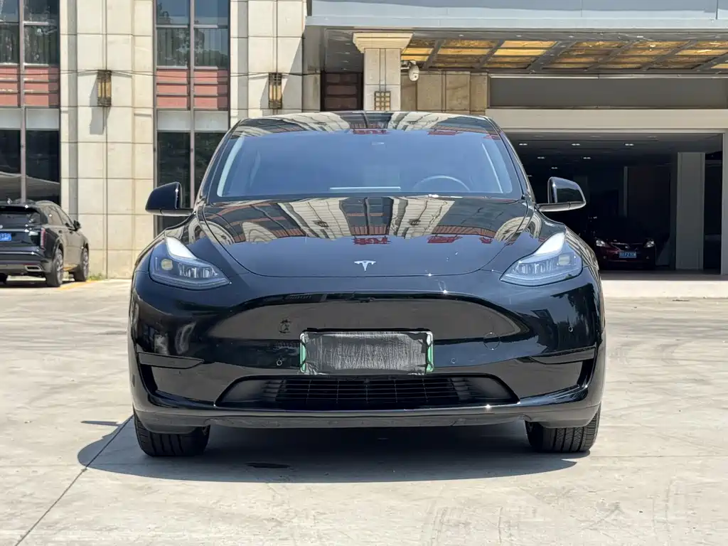 Tesla Model Y — фото 2