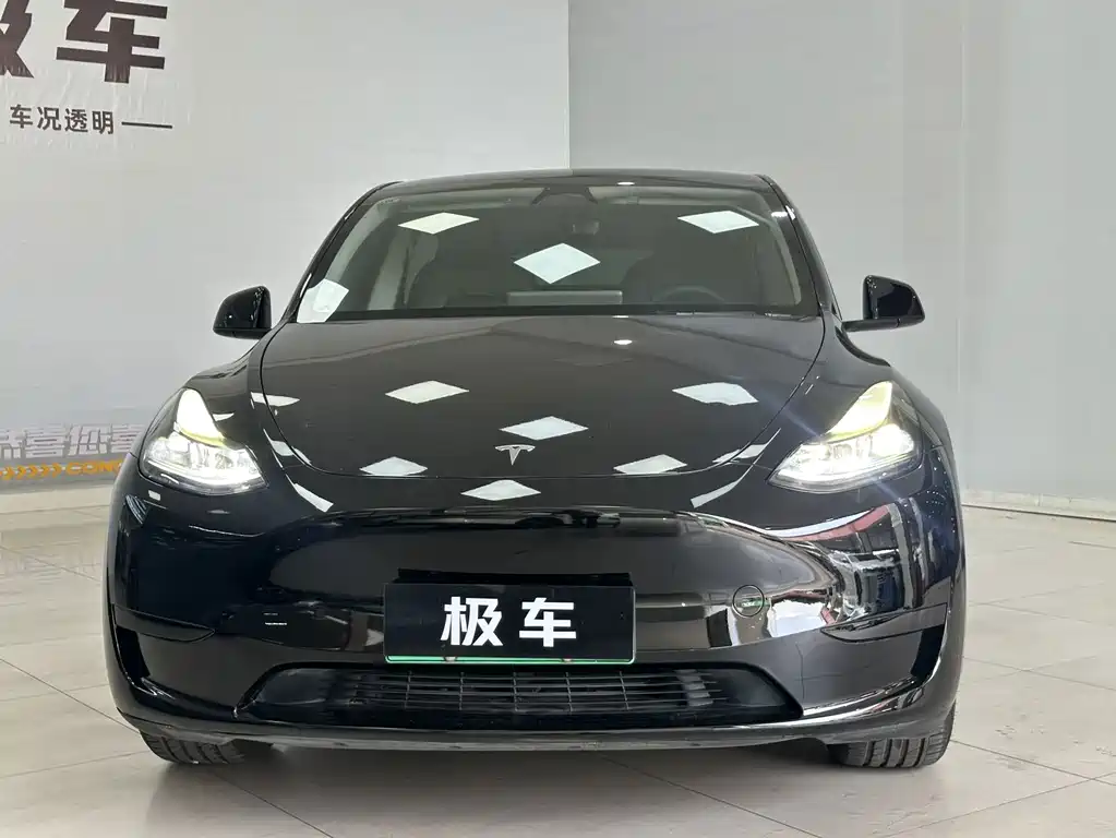 Tesla Model Y — фото 2