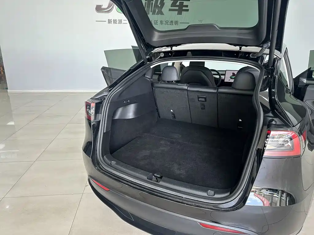 Tesla Model Y — фото 19