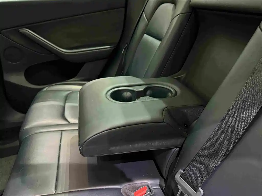 Tesla Model Y — фото 18