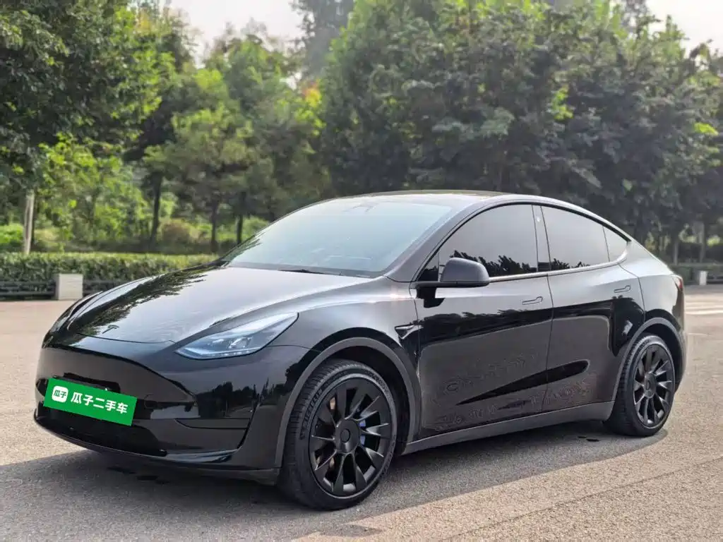 Tesla Model Y — фото 2