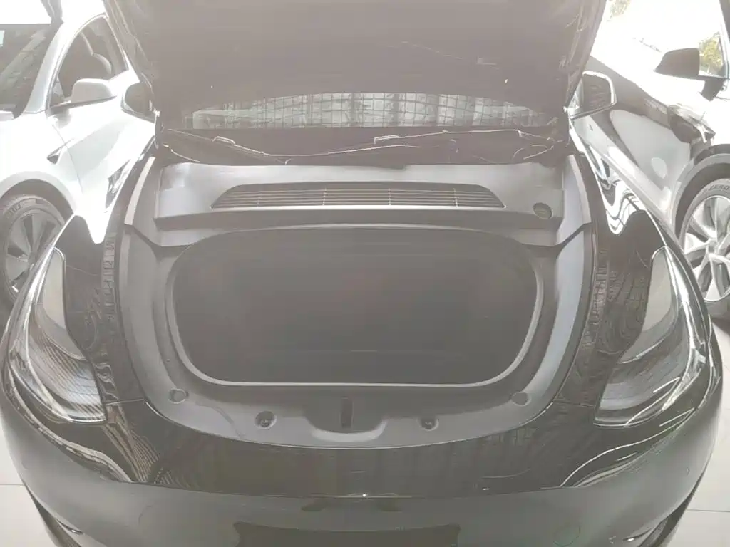 Tesla Model Y — фото 20