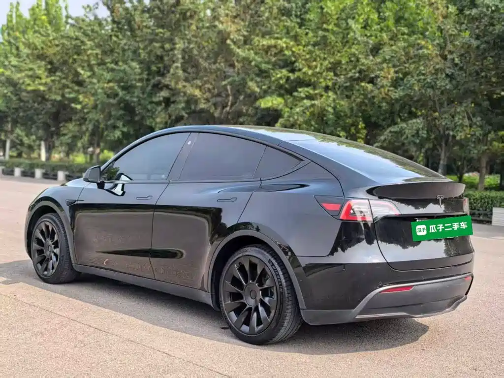 Tesla Model Y — фото 5