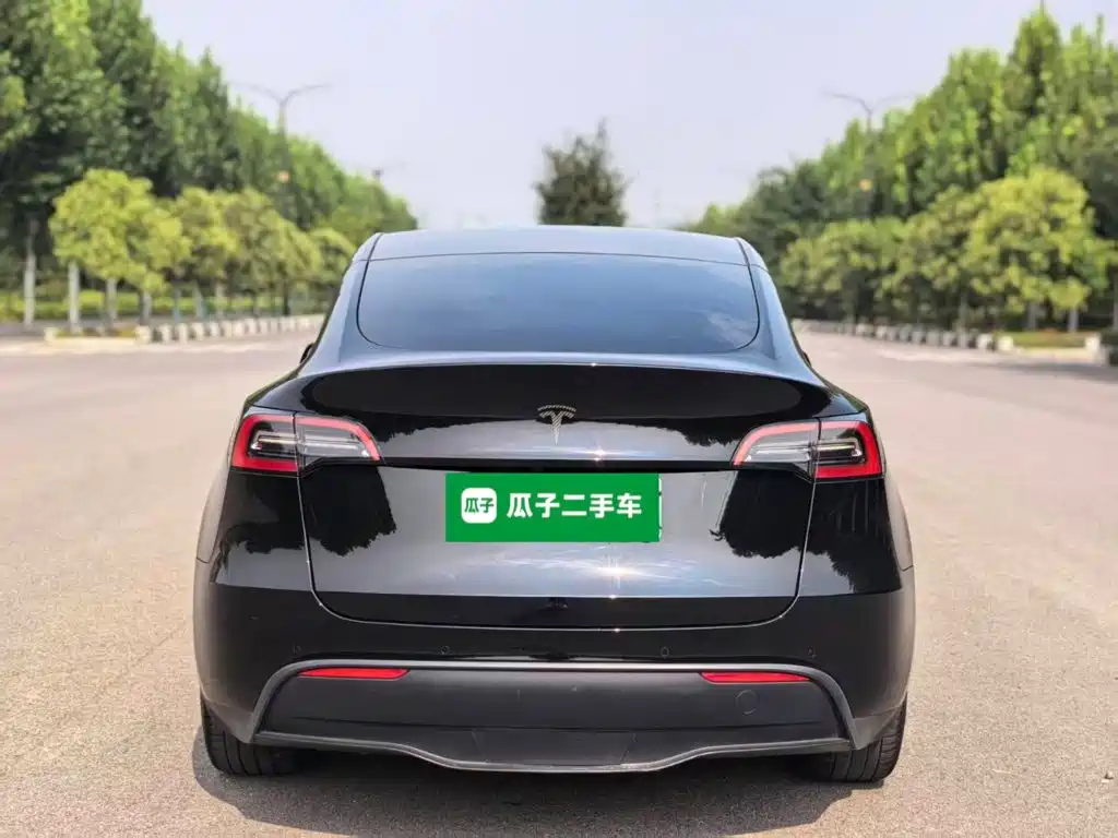 Tesla Model Y — фото 6