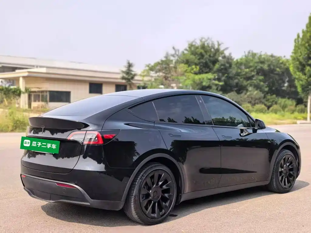 Tesla Model Y — фото 7